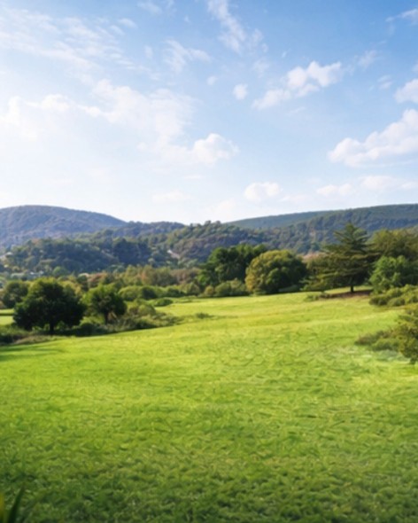 Terrenos